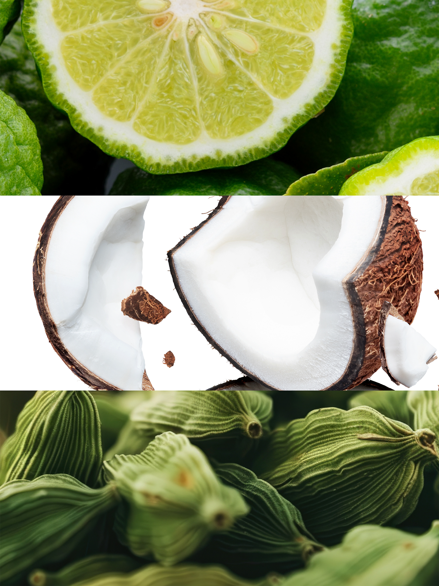 WHITE MAREA
