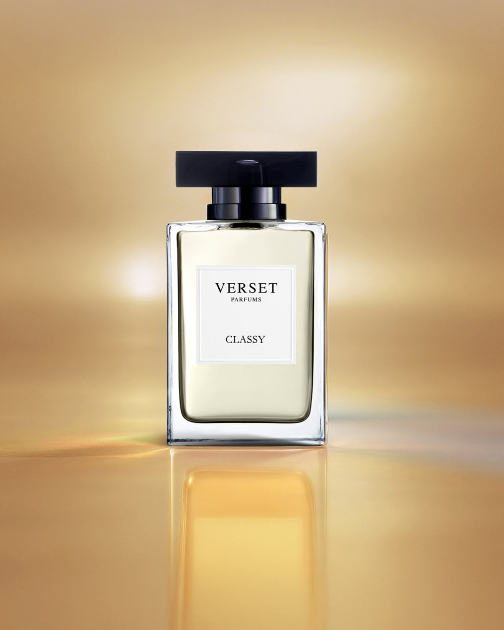 Copy of D_VVH16-CLA100.jpg