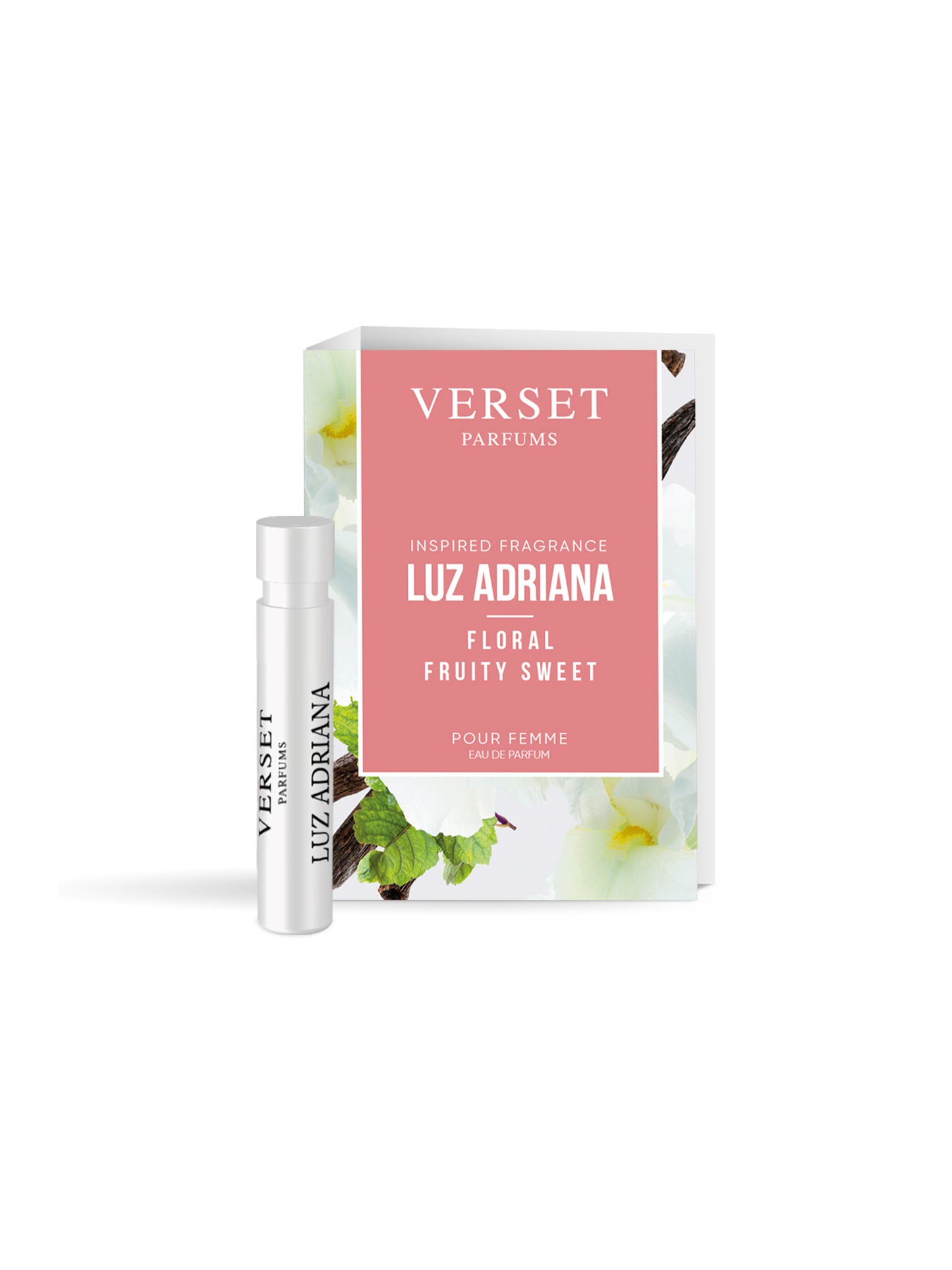 Pack 10 Minivapor Inglés LUZ ADRIANA