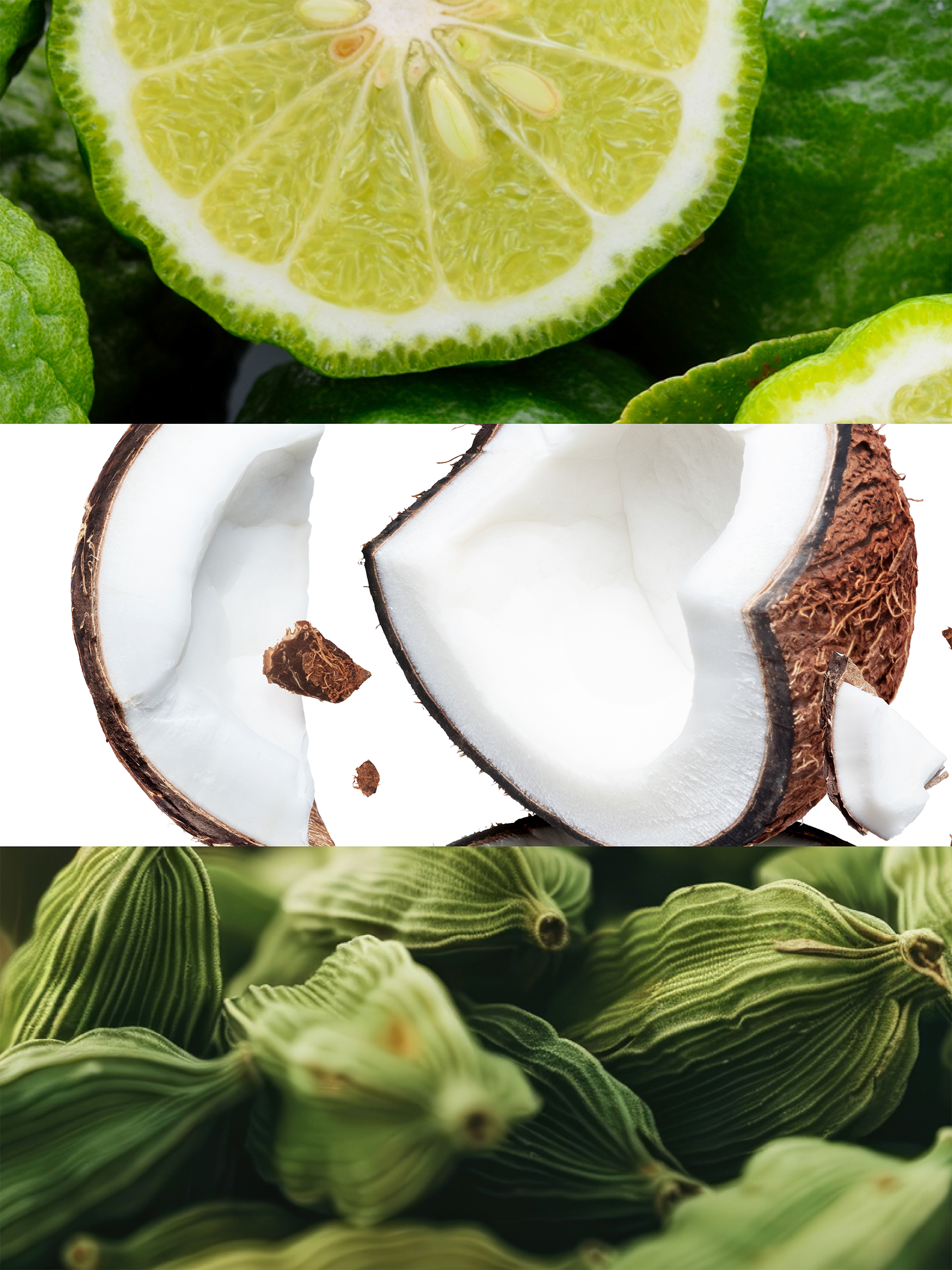 WHITE MAREA