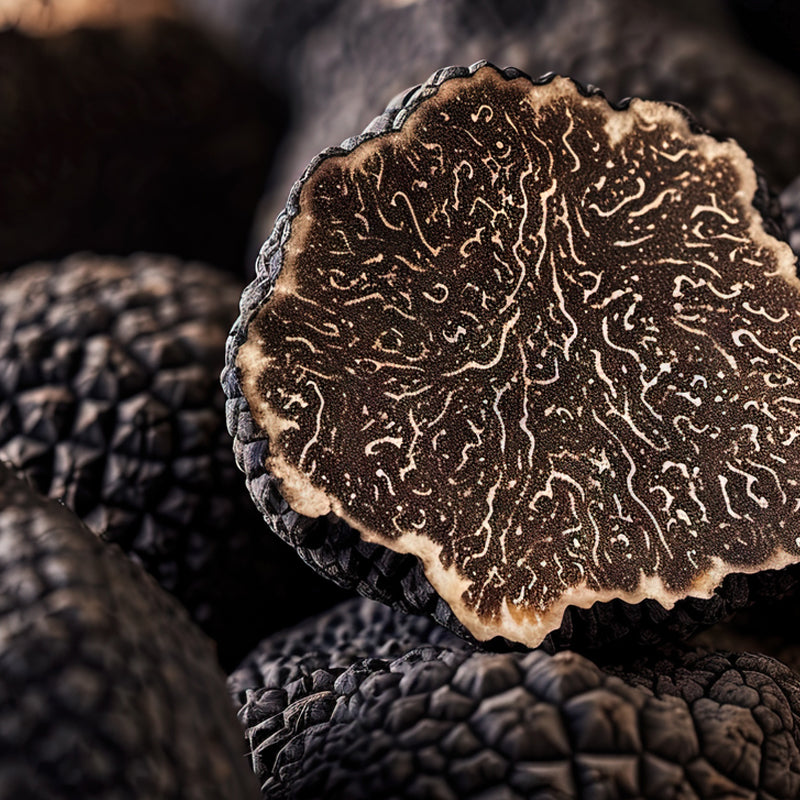 black-truffle-top